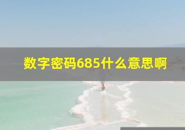 数字密码685什么意思啊