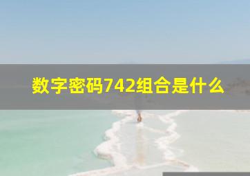 数字密码742组合是什么