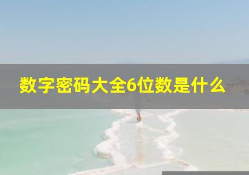 数字密码大全6位数是什么