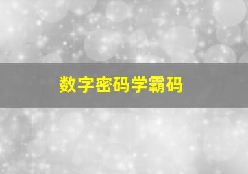 数字密码学霸码