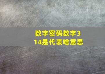 数字密码数字314是代表啥意思