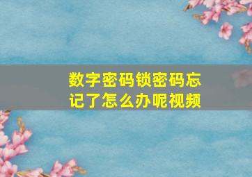 数字密码锁密码忘记了怎么办呢视频