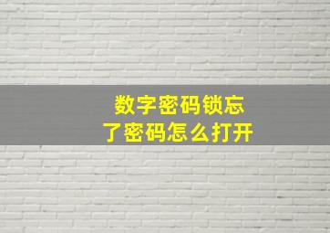 数字密码锁忘了密码怎么打开