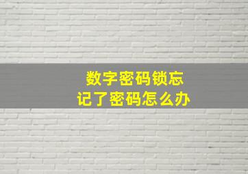 数字密码锁忘记了密码怎么办