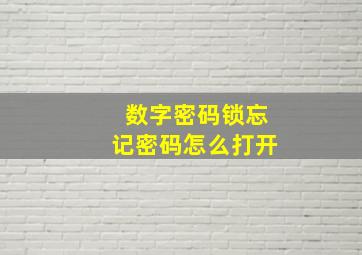 数字密码锁忘记密码怎么打开