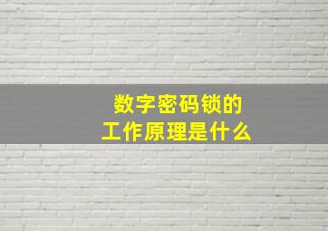 数字密码锁的工作原理是什么