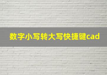 数字小写转大写快捷键cad