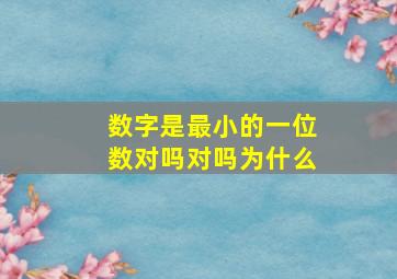 数字是最小的一位数对吗对吗为什么