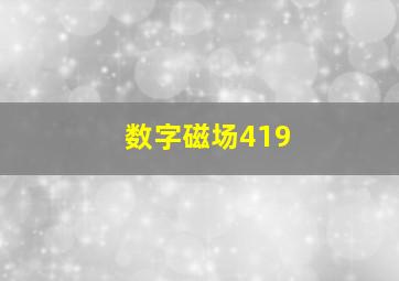 数字磁场419