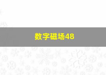 数字磁场48