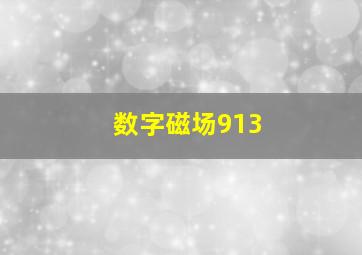 数字磁场913