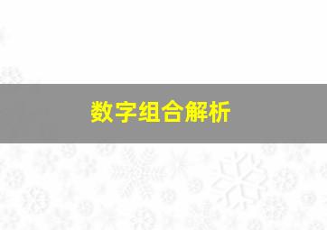 数字组合解析