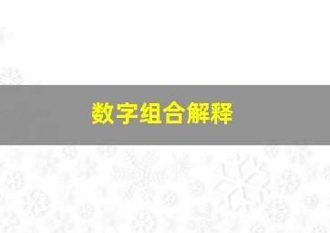 数字组合解释