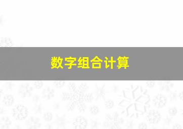 数字组合计算