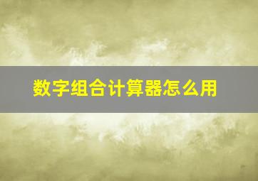 数字组合计算器怎么用