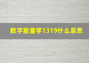 数字能量学1319什么意思