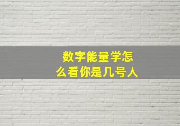 数字能量学怎么看你是几号人