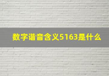 数字谐音含义5163是什么