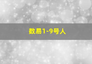 数易1-9号人