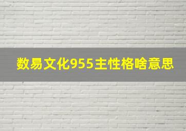 数易文化955主性格啥意思