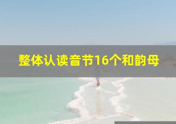 整体认读音节16个和韵母