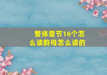 整体音节16个怎么读韵母怎么读的