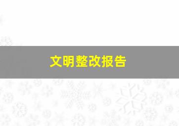 文明整改报告