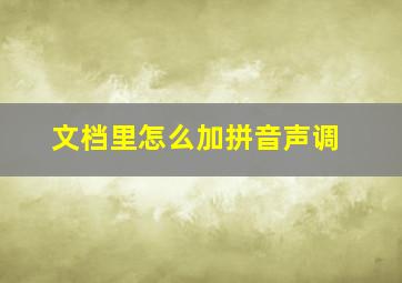 文档里怎么加拼音声调