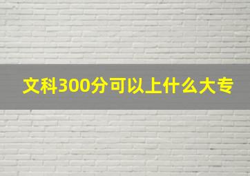 文科300分可以上什么大专