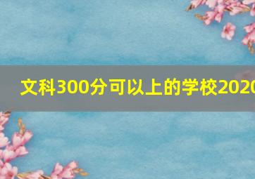 文科300分可以上的学校2020