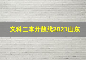 文科二本分数线2021山东