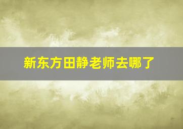 新东方田静老师去哪了