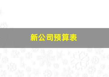 新公司预算表