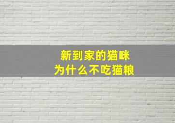 新到家的猫咪为什么不吃猫粮