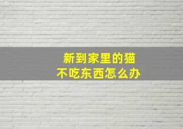 新到家里的猫不吃东西怎么办