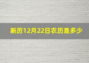 新历12月22日农历是多少