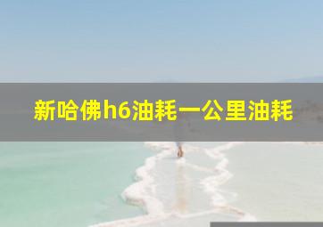 新哈佛h6油耗一公里油耗