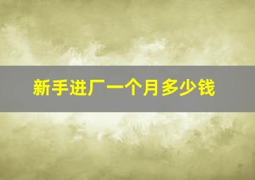 新手进厂一个月多少钱