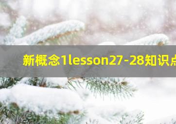 新概念1lesson27-28知识点