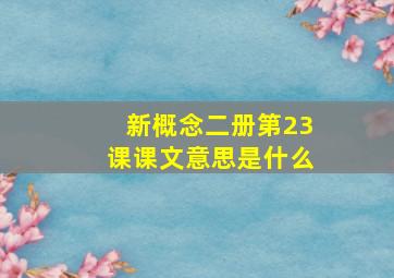 新概念二册第23课课文意思是什么