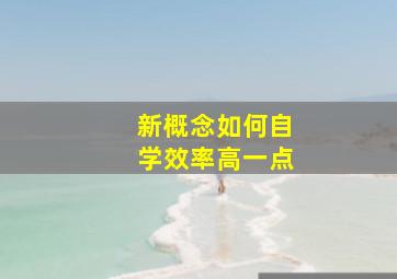 新概念如何自学效率高一点