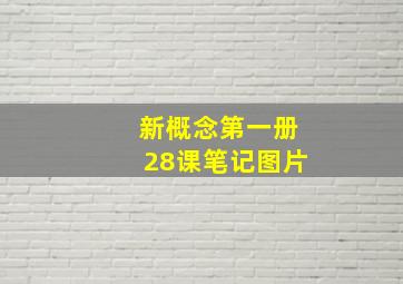 新概念第一册28课笔记图片