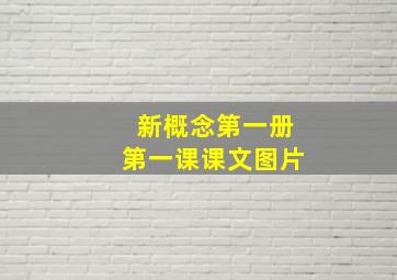 新概念第一册第一课课文图片