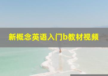 新概念英语入门b教材视频