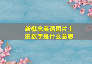 新概念英语图片上的数字是什么意思