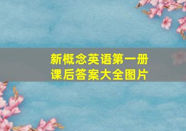 新概念英语第一册课后答案大全图片