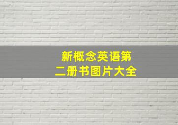 新概念英语第二册书图片大全