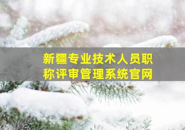 新疆专业技术人员职称评审管理系统官网