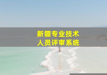 新疆专业技术人员评审系统