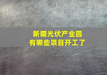 新疆光伏产业园有哪些项目开工了